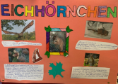 eichhoernchen.png